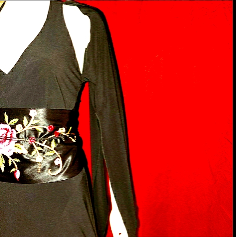 🖤RARE VTG Black Oriental Inspired Dress by one 🖤 - Picture 5 of 9